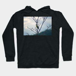 lla kissadee Hoodie